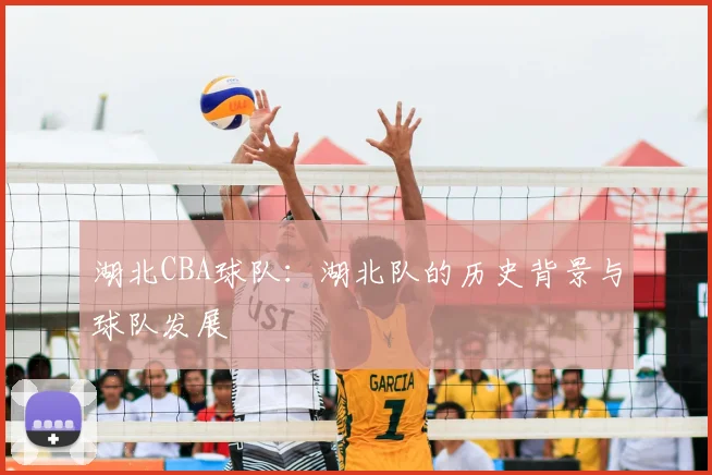 湖北CBA球队:湖北队的历史背景与球队发展