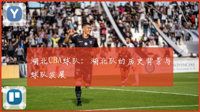 湖北CBA球队:湖北队的历史背景与球队发展